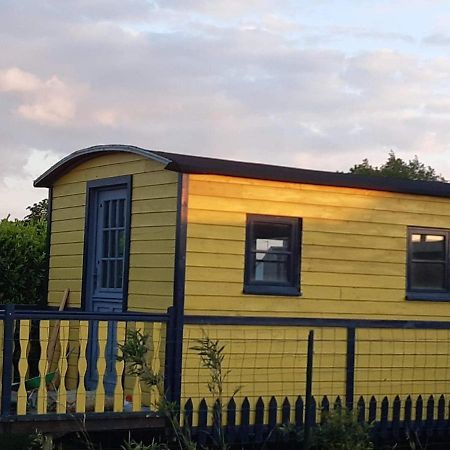 Roulotte Et Jacuzzi De Rachel Au Domaine Du Reuze Villa Winnezeele Exteriör bild