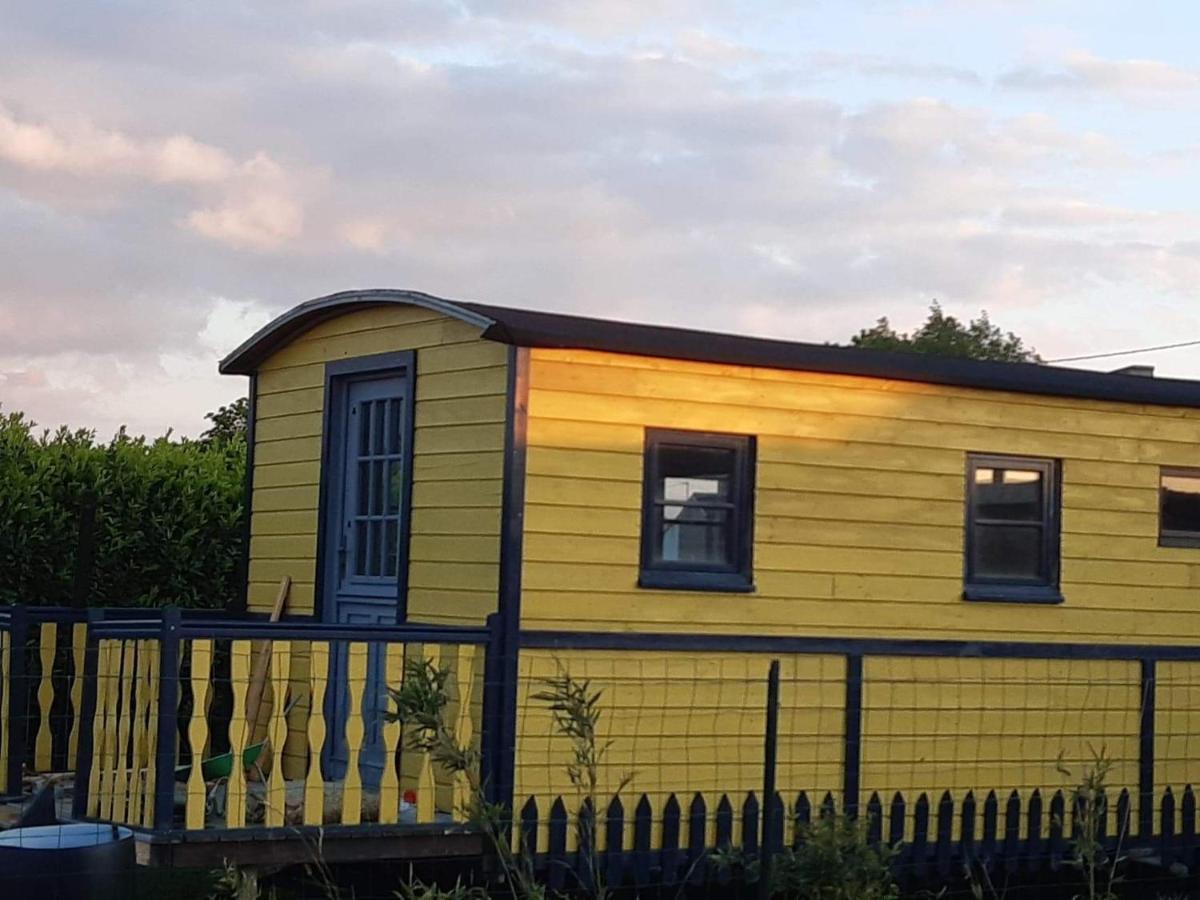 Roulotte Et Jacuzzi De Rachel Au Domaine Du Reuze Villa Winnezeele Exteriör bild